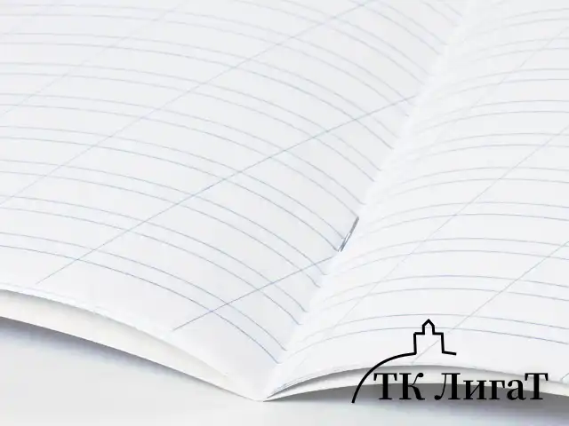 Тетрадь 12 л. BRAUBERG "КЛАССИКА NEW", косая линия, обложка картон, ЗЕЛЕНАЯ, 10568, 105688