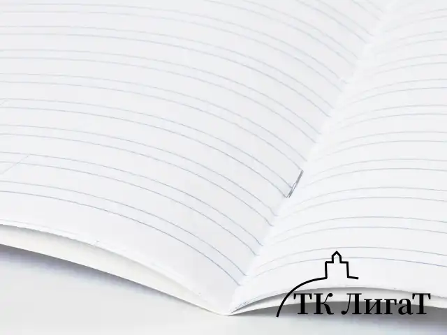 Тетрадь 12 л. BRAUBERG КЛАССИКА NEW узкая линия, обложка картон, ЗЕЛЕНАЯ, 105692