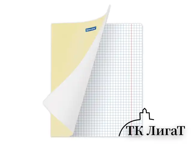 Тетрадь 18 л. BRAUBERG КЛАССИКА NEW клетка, обложка картон, ЖЕЛТАЯ, 105696