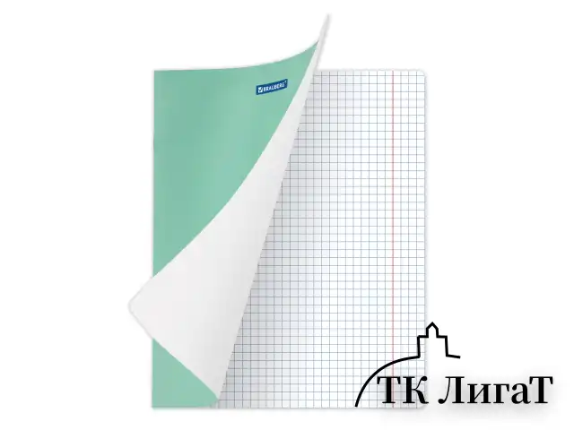 Тетрадь 24 л. BRAUBERG КЛАССИКА NEW клетка, обложка картон, ЗЕЛЕНАЯ, 105703