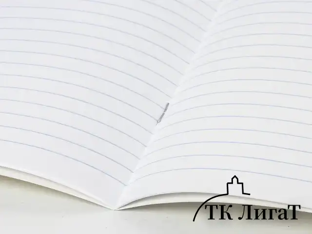 Тетрадь 24 л. BRAUBERG КЛАССИКА NEW линия, обложка картон, АССОРТИ (5 видов), 105704