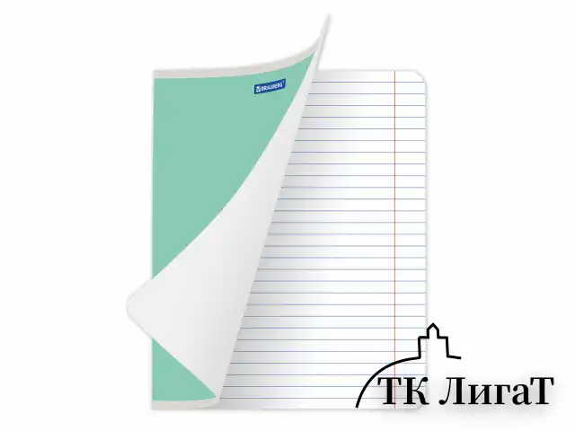 Тетрадь 24 л. BRAUBERG КЛАССИКА NEW линия, обложка картон, АССОРТИ (5 видов), 105704