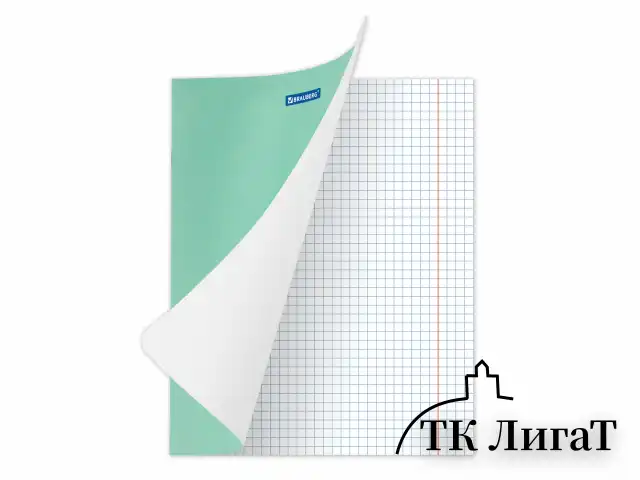 Тетрадь BRAUBERG "EXTRA" 24 л., клетка, плотная бумага 80 г/м2, обложка картон, 105710