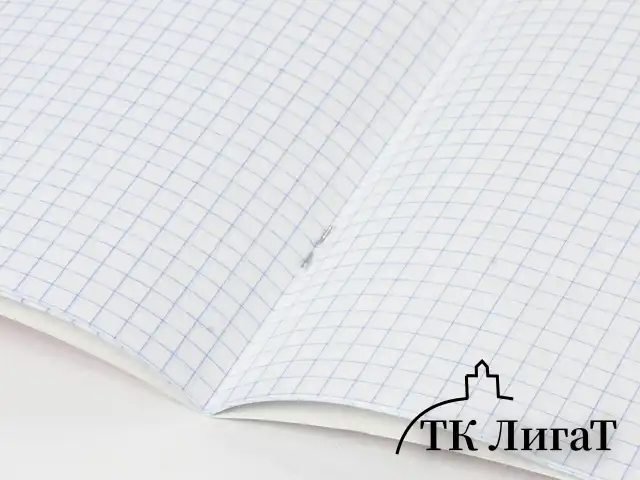 Тетрадь BRAUBERG "EXTRA" 24 л., клетка, плотная бумага 80 г/м2, обложка картон, 105710