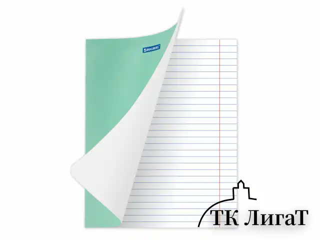 Тетрадь BRAUBERG "EXTRA" 24 л., линия, плотная бумага 80 г/м2, обложка картон, 105711