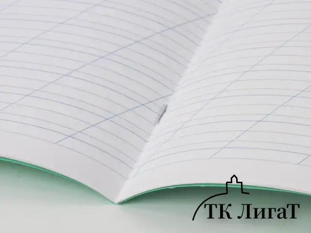 Тетрадь ВЕЛИКИЕ ИМЕНА. Лермонтов М.Ю., 12 л. косая линия С ДОП. ГОРИЗОНТАЛЬНОЙ, плотная бумага 80 г/м2, обложка офсет, BRAUBERG, 105713