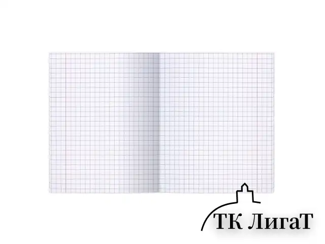 Тетрадь ВЕЛИКИЕ ИМЕНА. Архимед, 12 л. крупная клетка, плотная бумага 80 г/м2, обложка тонированный офсет, BRAUBERG, 105715