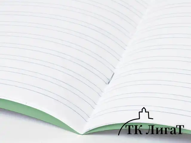 Тетрадь ВЕЛИКИЕ ИМЕНА. Крылов И.А., 12 л. узкая линия, плотная бумага 80 г/м2, обложка тонированный офсет, BRAUBERG, 105717