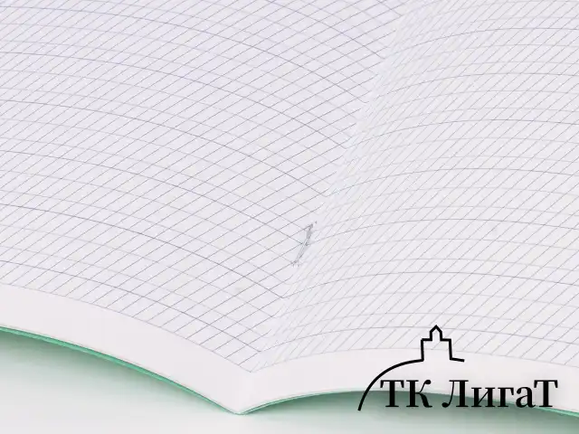 Тетрадь ВЕЛИКИЕ ИМЕНА. Пушкин А.С., 12л. частая косая С ДОПОЛНИТЕЛЬНОЙ ГОРИЗОНТАЛЬНОЙ, плотная бумага 80г/м, обложка офсет, BRAUBERG, 105718