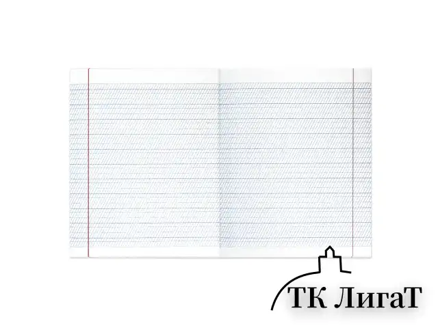 Тетрадь ВЕЛИКИЕ ИМЕНА. Пушкин А.С., 12л. частая косая С ДОПОЛНИТЕЛЬНОЙ ГОРИЗОНТАЛЬНОЙ, плотная бумага 80г/м, обложка офсет, BRAUBERG, 105718