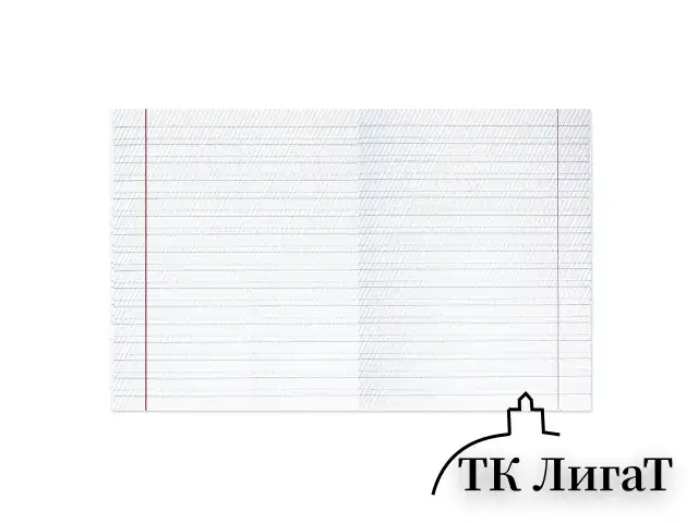 Тетрадь ВЕЛИКИЕ ИМЕНА. Толстой Л.Н., 12 л. частая косая линия, плотная бумага 80 г/м2, обложка тонированный офсет, BRAUBERG, 105719