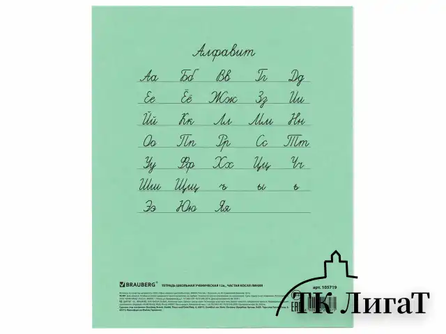 Тетрадь ВЕЛИКИЕ ИМЕНА. Толстой Л.Н., 12 л. частая косая линия, плотная бумага 80 г/м2, обложка тонированный офсет, BRAUBERG, 105719