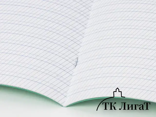 Тетрадь ВЕЛИКИЕ ИМЕНА. Толстой Л.Н., 12 л. частая косая линия, плотная бумага 80 г/м2, обложка тонированный офсет, BRAUBERG, 105719
