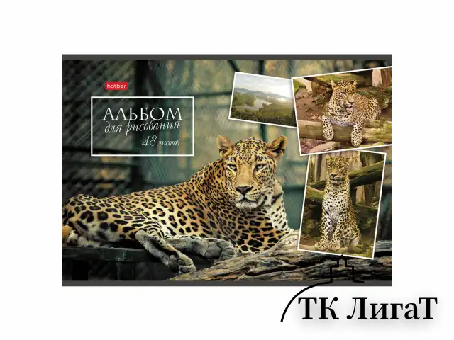 Альбом для рисования А4 48 л., скоба, обложка картон, HATBER, 205х290 мм, Ассорти, 062541, 48А4В