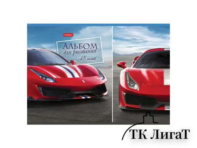 Альбом для рисования А4 48 л., скоба, обложка картон, HATBER, 205х290 мм, Ассорти, 062541, 48А4В