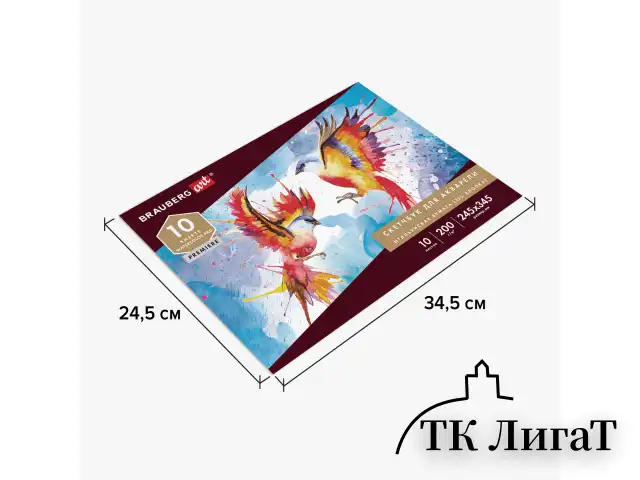 Альбом для акварели, бумага ИТАЛИЯ 200 г/м2 25% хлопок 245х345 мм, 10 л., BRAUBERG ART PREMIERE, 105911