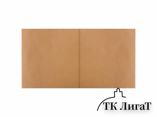 Альбом для рисования, крафт-бумага 70 г/м2, 205х195 мм, 40 л., на скобе, BRAUBERG ART CLASSIC, 105914