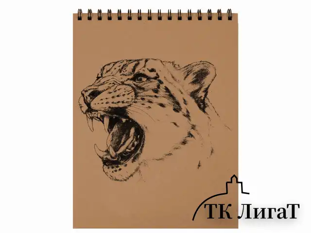 Альбом для рисования, крафт-бумага 140 г/м2, 147х205 мм, 30 л., спираль, BRAUBERG ART CLASSIC, 105915