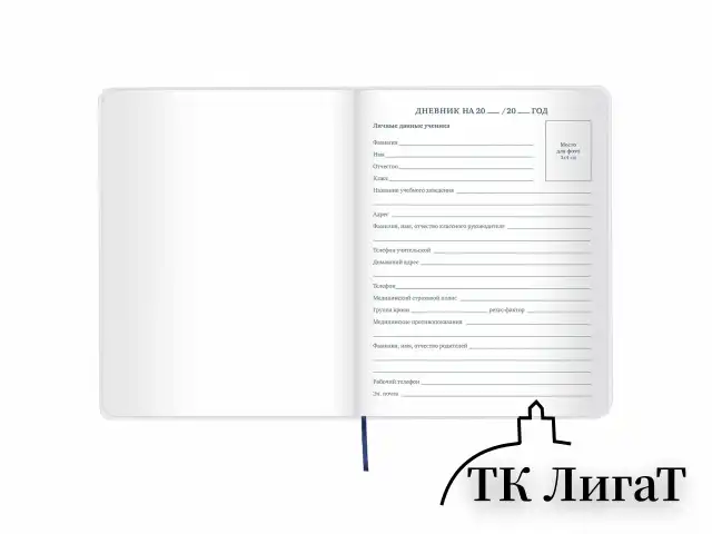 Дневник 1-11 класс 48 л., кожзам (гибкая), термотиснение, фольга, BRAUBERG, "МЕДВЕДЬ", 105969