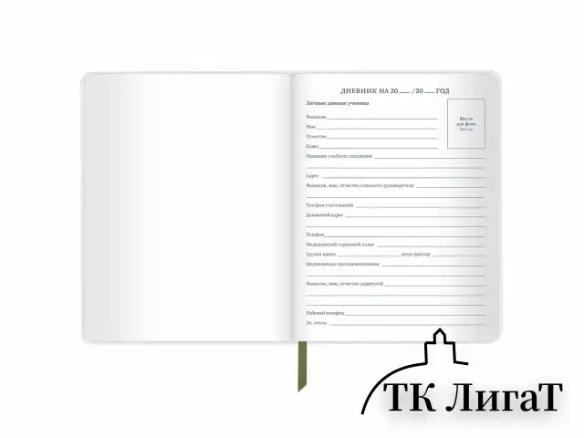 Дневник 1-11 класс 48 л., кожзам (твердая с поролоном), печать, аппликация, BRAUBERG, "КАМУФЛЯЖ", 105992
