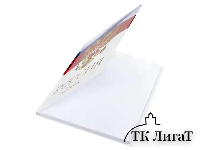 Дневник 5-11 класс 48 л., твердый, BRAUBERG, глянцевая ламинация, с подсказом, "Символика 2", 106067
