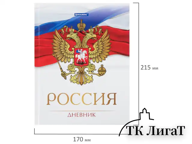 Дневник 5-11 класс 48 л., твердый, BRAUBERG, глянцевая ламинация, с подсказом, "Символика 2", 106067
