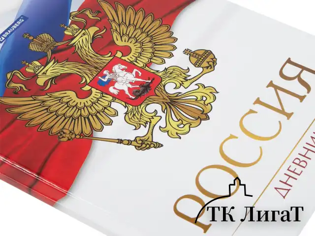 Дневник 5-11 класс 48 л., твердый, BRAUBERG, глянцевая ламинация, с подсказом, "Символика 2", 106067