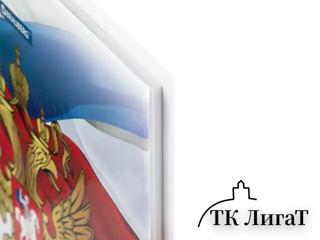 Дневник 5-11 класс 48 л., твердый, BRAUBERG, глянцевая ламинация, с подсказом, "Символика 2", 106067