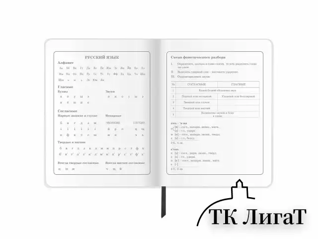 Дневник 1-4 класс 48 л., кожзам (гибкая), печать, фольга, ЮНЛАНДИЯ, "Football", 106159