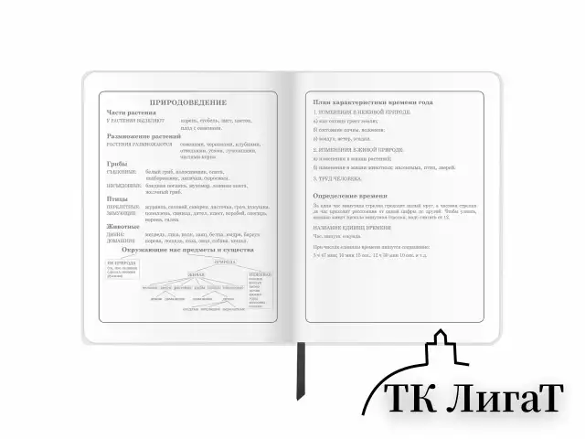 Дневник 1-4 класс 48 л., кожзам (гибкая), печать, фольга, ЮНЛАНДИЯ, "Football", 106159