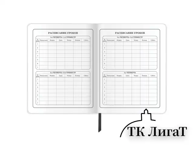 Дневник 1-4 класс 48 л., кожзам (гибкая), печать, фольга, ЮНЛАНДИЯ, "Football", 106159