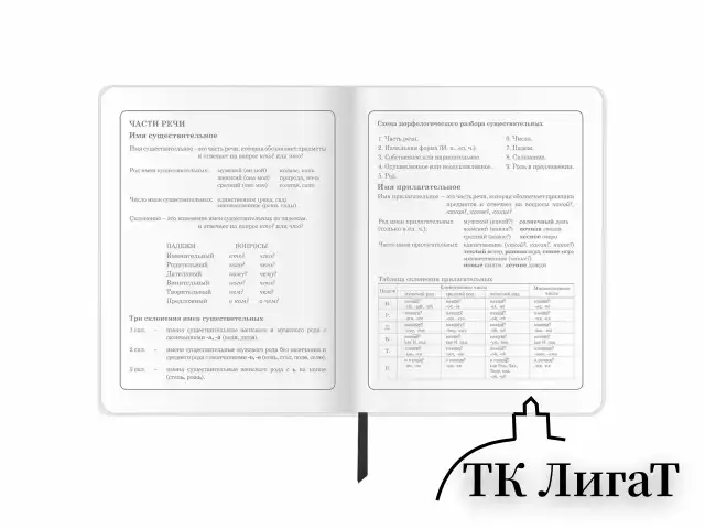 Дневник 1-4 класс 48 л., кожзам (гибкая), печать, фольга, ЮНЛАНДИЯ, "Football", 106159