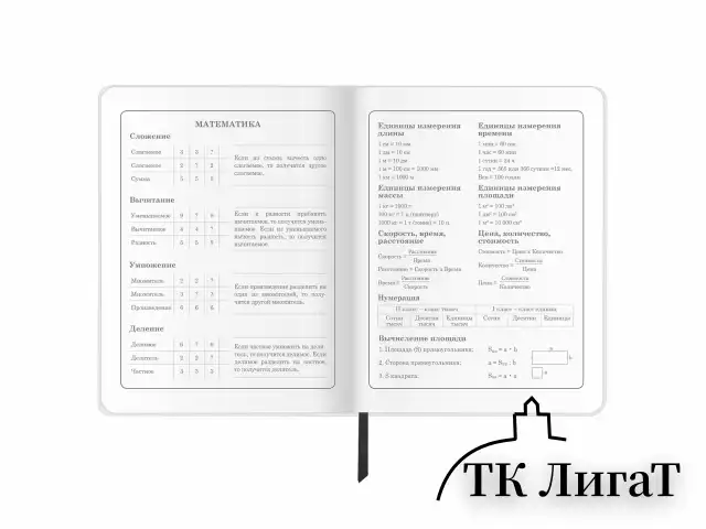 Дневник 1-4 класс 48 л., кожзам (гибкая), печать, фольга, ЮНЛАНДИЯ, "Football", 106159