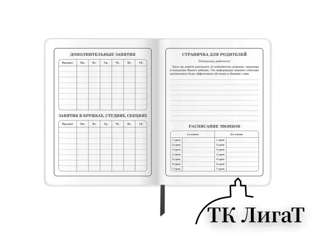 Дневник 1-4 класс 48 л., кожзам (гибкая), печать, фольга, ЮНЛАНДИЯ, "Football", 106159