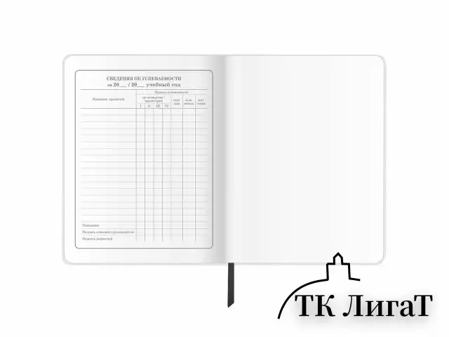 Дневник 1-4 класс 48 л., кожзам (гибкая), печать, фольга, ЮНЛАНДИЯ, "Football", 106159