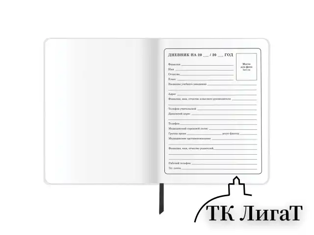 Дневник 1-4 класс 48 л., кожзам (гибкая), печать, фольга, ЮНЛАНДИЯ, "Football", 106159