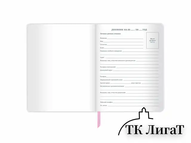 Дневник 1-11 класс 48 л., кожзам (твердая), магнитный клапан, ЮНЛАНДИЯ, "Мороженка", 106184