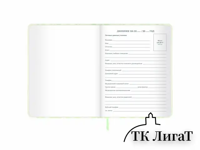 Дневник 1-11 класс 48 л., кожзам (твердая с поролоном), печать, наклейки, BRAUBERG, "Relax", 106190