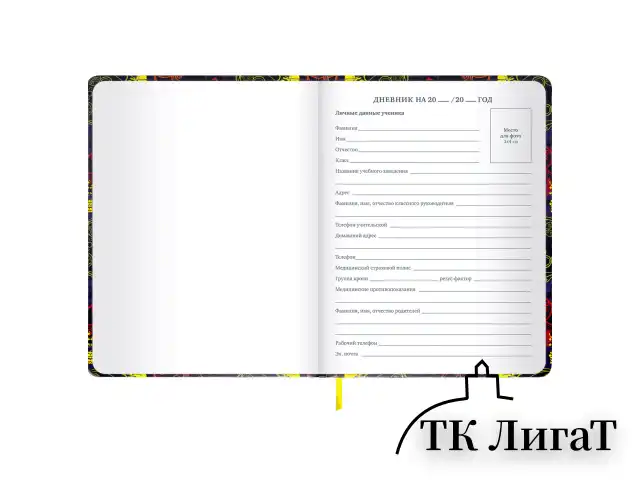 Дневник 1-11 класс 48 л., кожзам (твердая с поролоном), печать, наклейки, BRAUBERG, "Game Time", 106191