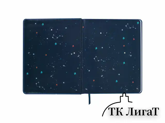 Дневник 1-4 класс 48 л., кожзам (твердая), печать, аппликация, ЮНЛАНДИЯ, "Ленивец", 106197