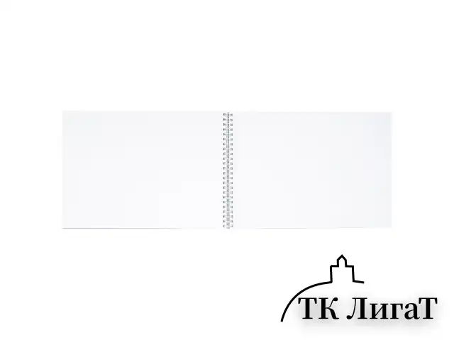 Альбом для рисования, А4, 48 л., гребень, обложка картон, BRAUBERG, 205х290 мм, "Летний пейзаж" (2 вида), 106328