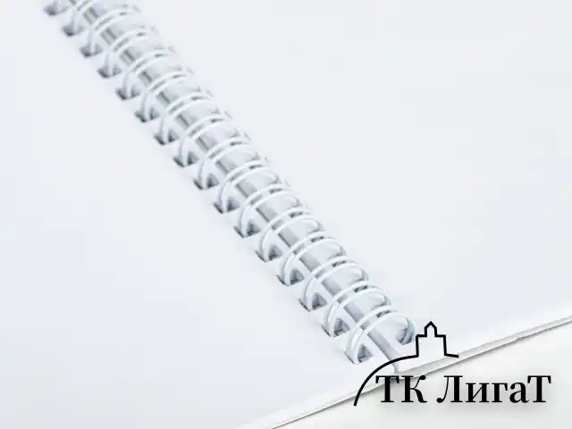 Альбом для рисования, А4, 48 л., гребень, обложка картон, BRAUBERG, 205х290 мм, "Летний пейзаж" (2 вида), 106328