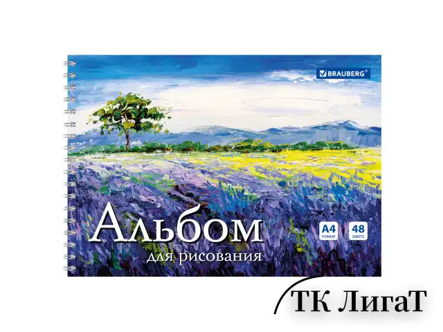 Альбом для рисования, А4, 48 л., гребень, обложка картон, BRAUBERG, 205х290 мм, "Летний пейзаж" (2 вида), 106328
