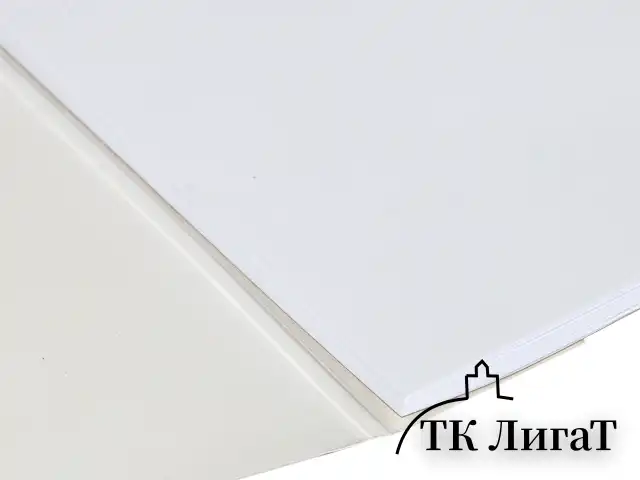 Альбом для рисования А4 40 л., склейка, обложка картон, подложка, BRAUBERG, 205х290 мм, "Краски лета", 106329