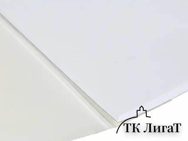 Альбом для рисования А4 40 л., склейка, обложка картон, подложка, BRAUBERG, 205х290 мм, "Blossom", 106330
