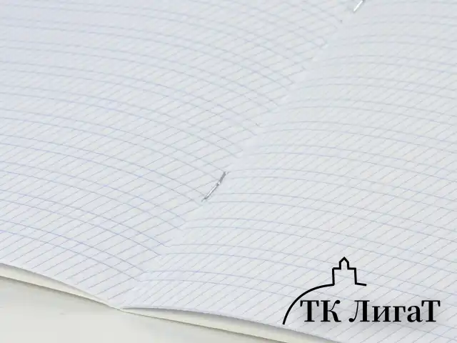 Тетрадь ЗЕЛЁНАЯ обложка 12 л., частая косая линия с полями, офсет, "ПЗБМ", 018244