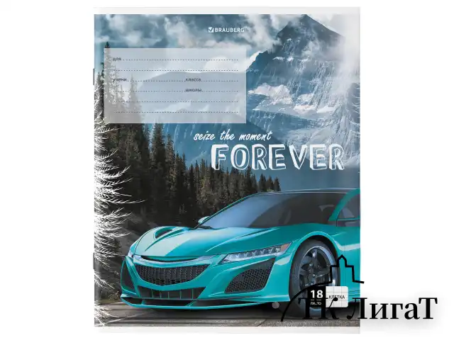Тетрадь 18 л. BRAUBERG клетка, обложка картон, "SPORTS CAR", 106479