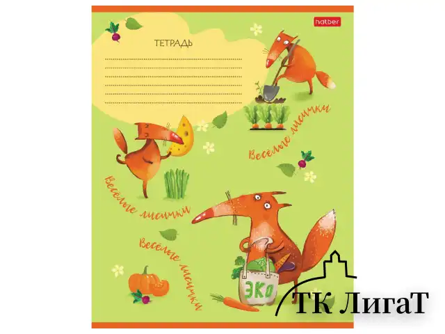 Тетрадь 18 л. HATBER клетка, обложка картон, "Fox Rules" (5 видов в спайке), 18Т5В1