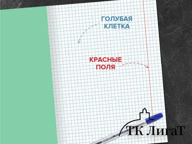 Тетрадь BRAUBERG ВЕЛИКИЕ ИМЕНА, 18 л., клетка, плотная бумага 80 г/м2, обложка тонированный офсет, 106978
