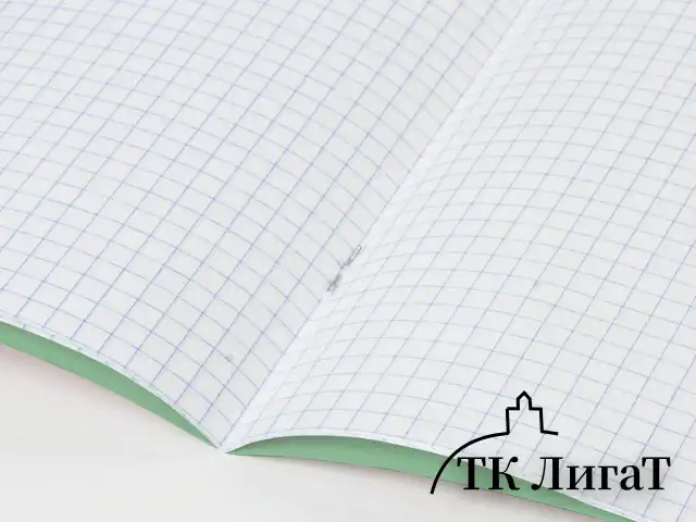 Тетрадь BRAUBERG ВЕЛИКИЕ ИМЕНА, 18 л., клетка, плотная бумага 80 г/м2, обложка тонированный офсет, 106978